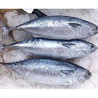 Cá Ngừ - 1KG