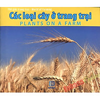 Thế Giới Trang Trại – Các Loài Cây Ở Trang Trại
