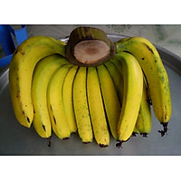 Chuối Laba - 1kg