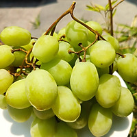 Nho xanh nhập khẩu - 500gr