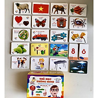 Bộ thẻ học thông minh 450 thẻ với 20 chủ đề về thế giới xung quanh cho bé (Flashcard)