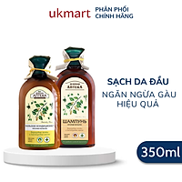 Dầu Gội, Dầu Xả Zelenaya Apteka Ngừa Gàu Nụ Bạch Dương Và Dầu Thầu Dầu