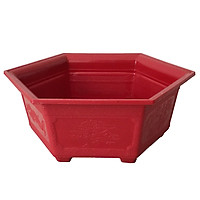 Combo 10 chậu bonsai lục giác nhỏ đường kính 21cm