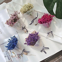  Bó hoa khô mini oải hương siêu xinh quà tặng dịp lễ hoa khô dercor trang trí
