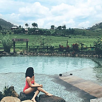 Tour 2N1Đ HN - Đồi Chè Long Cốc - Cu Vai - Suối Khoáng Nóng Trạm Tấu, Khởi Hành Thứ 7 Hàng Tuần