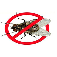 1 gói thuốc diệt ruồi TOPFLY 10WG THU HÚT MẠNH – DIỆT RUỒI NHANH GỌN ( Gói 20g )