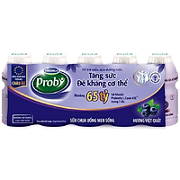 Big C - Lốc 5 sữa chua men sống Probi việt quất 65ml - 20566