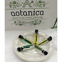 Combo 5 tinh dầu phân đoạn Aotanica, giải cảm, tràm gió, tràm trà, sả chanh, bưởi 1ml