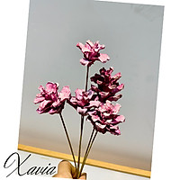 Quả thông khô trang trí decor