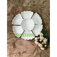 Bộ bát đĩa hoa mặt trời ĐK 45cm.