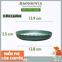 Combo 5 Đĩa lót chậu nhựa trồng cây MONROVIA 1 GL, chậu trồng cây, chậu cây cảnh mini, để bàn, treo ban công, treo tường, cao cấp, chính hãng thương hiệu MONROVIA