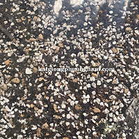 1 KG ĐẤT CAO CẤP TRỒNG XƯƠNG RỒNG - SEN ĐÁ