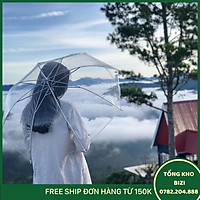 Dù Đi Mưa Trong Suốt - Free Ship Toàn Quốc