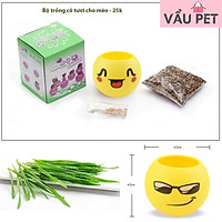 Bộ trồng cỏ tươi cho mèo (Trồng bằng đất, đã kèm hạt giống)