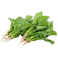 Cải Bó xôi, Rau Chân Vịt - Rau củ quả tươi sạch, rau xanh Đà Lạt - 1kg
