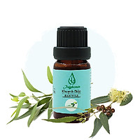 Dầu Khuynh diệp giữ ấm bé 10ml JULYHOUSE