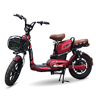 Xe Đạp Điện Osakar A10