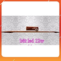 Đèn soi tranh bút led 2 đầu siêu rẻ đẹp dài 60cm