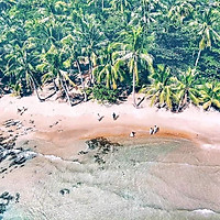 Combo 4N3Đ Phú Quốc Brenta Hotel 4 Sao + Tour 4 Đảo Bằng Cano Từ Khách Sạn + Đón Tiễn Sân Bay