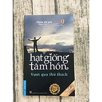 Hạt Giống Tâm Hồn 9 (Tái Bản 2020)
