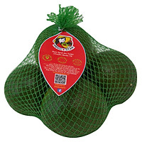 CAM XUẤT KHẨU