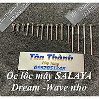 Bộ ốc lốc máy dành cho xe Wave nhỏ -Dream - 16 con