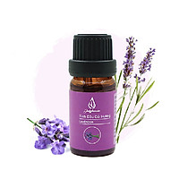 Tinh dầu Oải Hương JULYHOUSE 10ml.