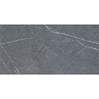 Gạch ốp lát mờ VWIN EVW459016HL (45x90cm)