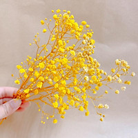 Hoa baby ướp ️️ Gypsophila hoa khô trang trí phòng ngủ, làm đồ handmade