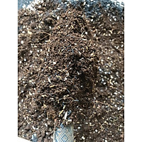 1kg giá thể đất trồng hương thảo trộn thủ công