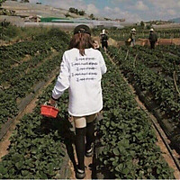 Áo thun tay dài nữ form rộng I AM FINE , áo sweater nam nữ mặc I AM FIEN nữ vải thun nỉ ,áo hooodie , áo sweater cặp đôi , áo khoác cặp đôi