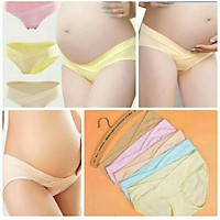 Set 5 quần lót bầu cạp chéo cotton cao cấp