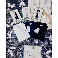 ÁO POLO CÁ SẤU FULL BOX