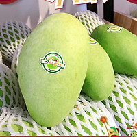 XOÀI CÁT HÒA LỘC