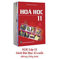 Sách Giáo Khoa Bộ Lớp 11 - Sách Bài Học (Bộ 13 Cuốn - Không Tiếng Anh) (2021)