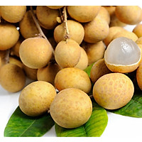 Nhãn Xuồng Đồng Tháp - Trái Lớn, Cơm Dày, Vỏ Mỏng, Thơm Ngọt - Laman Food