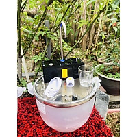 Bình rót rượu tự động 5.0