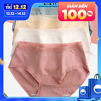 Bộ 5 Quần Lót Cotton 365 không hăn chống HPV 10 màu big size đến 65kg cạp vừa thương hiệu Baw QLN17