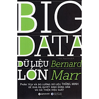 Dữ Liệu Lớn – Big Data (Quà Tặng Card đánh dấu sách đặc biệt)
