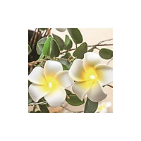 Đèn LED dây trang trí nhà cửa, đám cưới, giáng sinh hình bông hoa đại