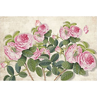 Giấy dán tường - sds1