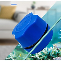 Cọ bể cá mini- Cọ bể nam châm mini cho kính 5mm màu sắc ngẫu nhiên