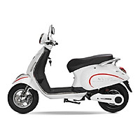 XE MÁY ĐIỆN NISPA SV