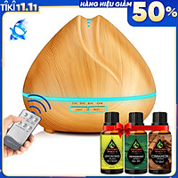 Máy Khuếch Tán Tinh Dầu Cao Cấp Chính Hãng Tặng 3 Chai Tinh Dầu Sả Chanh + Bạc Hà + Quế. Máy Xông Tinh Dầu Chuyên Dụng Có Remote Điều Khiển Từ Xa, Đèn LED Trang Trí, Xông Tinh Dầu và Phun Sương Tạo Ẩm