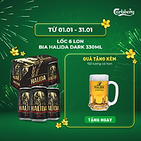 Lốc 6 lon bia Halida Dark 330ml