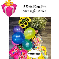 Set Bóng Bay Trang Trí Sinh Nhật Happy Birthday Hình ELSA Cho Bé Gái