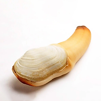 Ốc Vòi Voi - 1KG