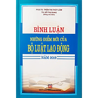 Bình Luận Những Điểm Mới Của Bộ Luật Lao Động Năm 2019