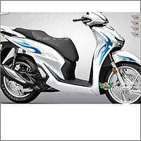 Tem Rời SH Trắng 2020 Chỉ xanh (N)