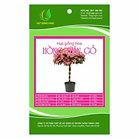 Hạt giống hoa Hồng thân gỗ Golden Seeds 10 Hạt